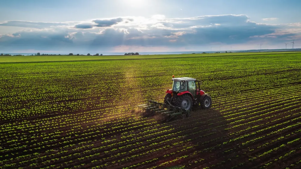 agricole champ